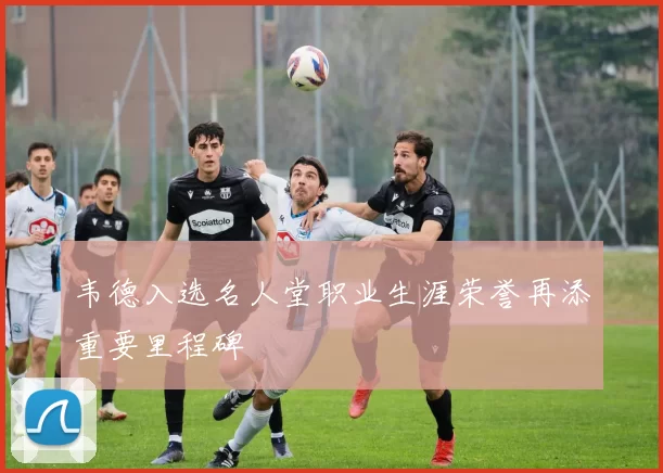 韦德入选名人堂职业生涯荣誉再添重要里程碑