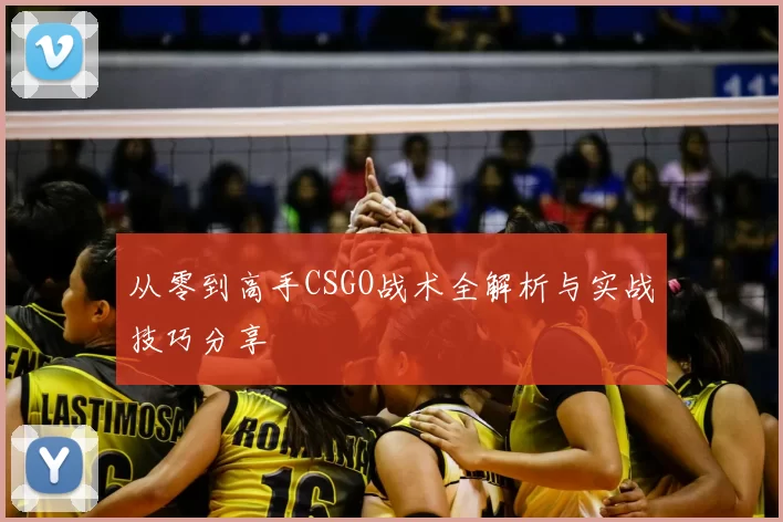 从零到高手CSGO战术全解析与实战技巧分享