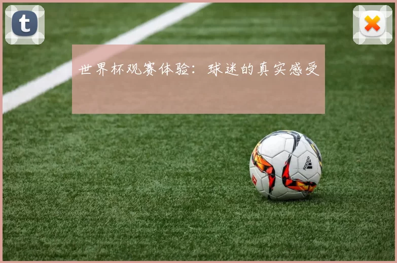 世界杯观赛体验:球迷的真实感受