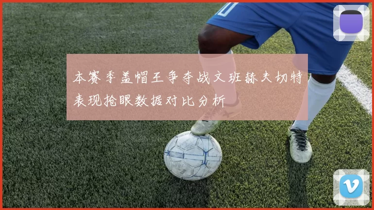本赛季盖帽王争夺战文班赫夫切特表现抢眼数据对比分析