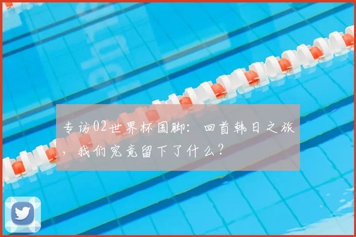 专访02世界杯国脚：回首韩日之旅，我们究竟留下了什么？