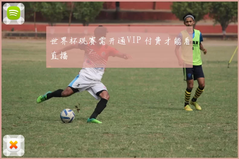 世界杯观赛需开通VIP 付费才能看直播