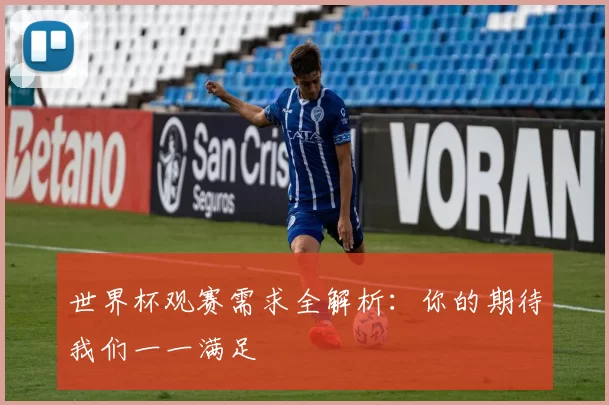世界杯观赛需求全解析：你的期待我们一一满足