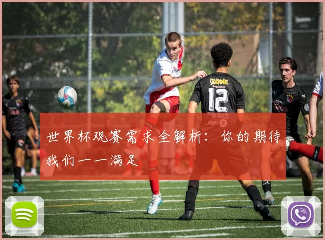 世界杯观赛需求全解析：你的期待我们一一满足