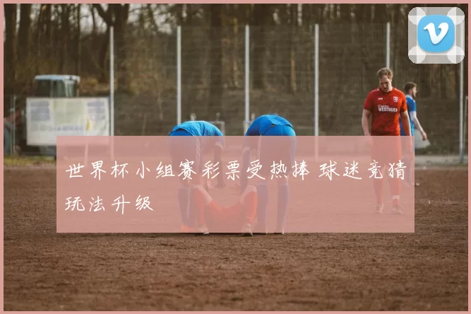 世界杯小组赛彩票受热捧 球迷竞猜玩法升级