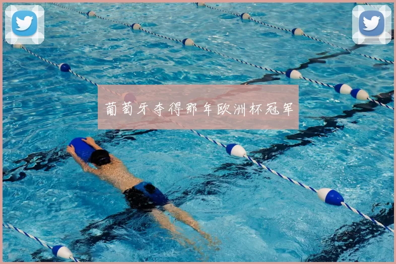 葡萄牙夺得那年欧洲杯冠军