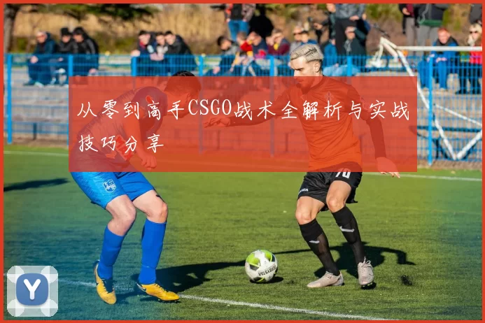 从零到高手CSGO战术全解析与实战技巧分享