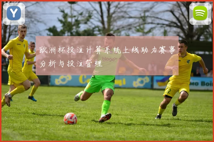 欧洲杯投注计算系统上线助力赛事分析与投注管理