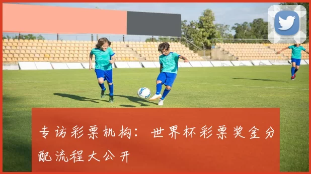 专访彩票机构:世界杯彩票奖金分配流程大公开