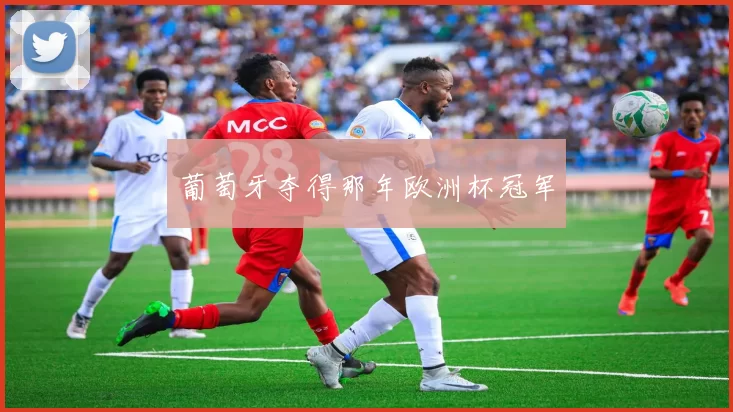 葡萄牙夺得那年欧洲杯冠军