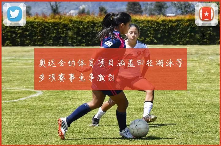 奥运会的体育项目涵盖田径游泳等多项赛事竞争激烈